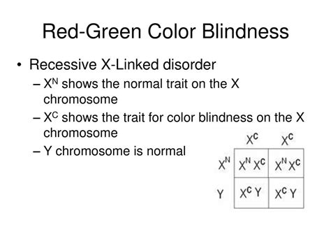 Color Blindness Punnett Square