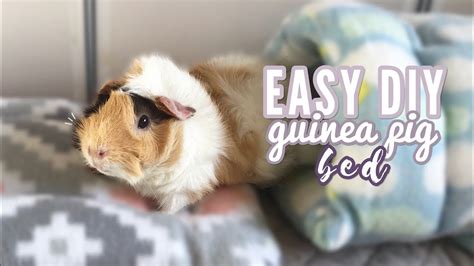 How To Make a DIY Guinea Pig Bed | Easy Tutorial - YouTube