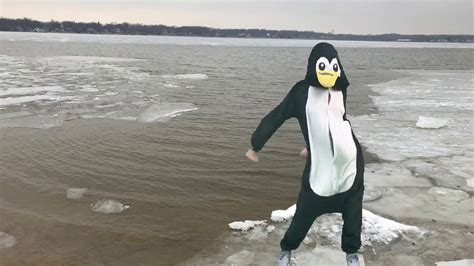 Penguin Plop jingle - YouTube