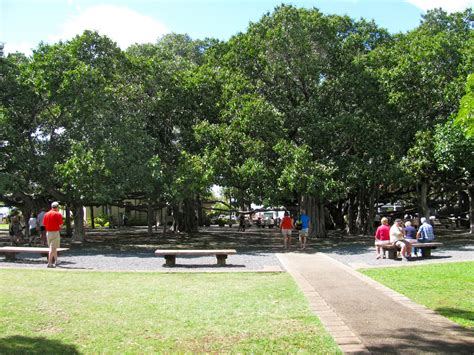 Banyan Tree Park