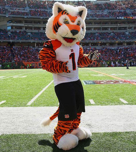 Resultado de imagen de mascot Who Dey — Cincinnati Bengals | Liga de ...