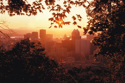 Montreal in summer | Montreal attractions, Trip, Montreal