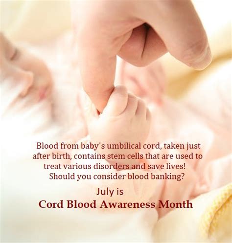 Newborn Umbilical Cord Blood Banking: The Basics | Women's Telehealth