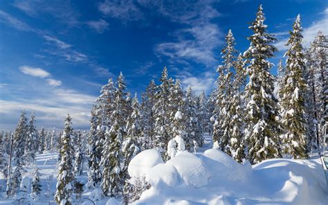 Sweden, Winter, White, Blue, Nature, Snow, Trees Wallpapers HD ...