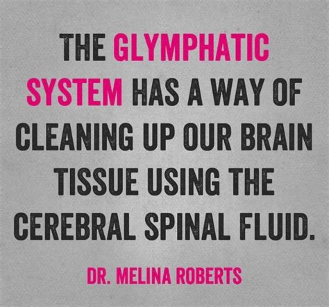 What is the Glymphatic System? - Advanced Naturopathic