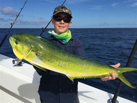 Dolphin (Mahi-mahi) Fishing in the Florida Keys