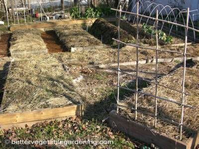 Photo of straw-mulch-winter | Straw mulch, Mulch, Vegetable garden