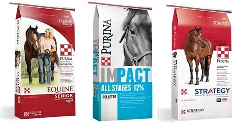 7 Best Horse Feed Brands for Horse Owners (2021)