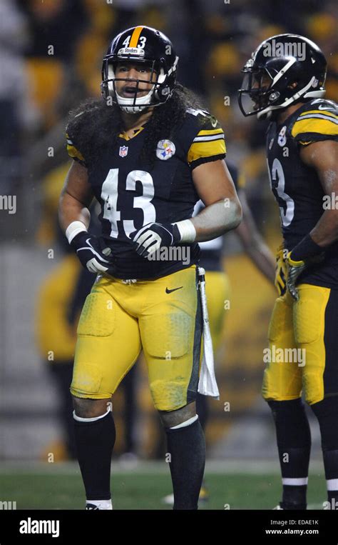 Troy polamalu hi-res stock photography and images - Alamy