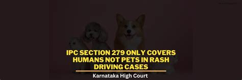 IPC Section 279 Only Covers Humans Not Pets In Rash Driving Cases ...