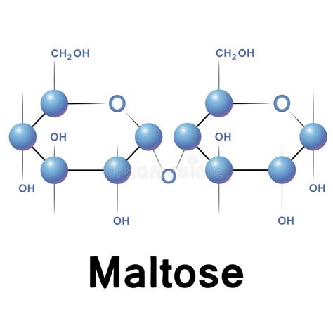 Maltose Stock Vector - Image: 40168342