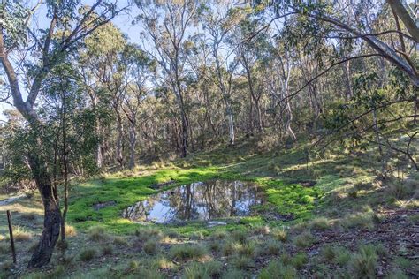 A Guide To Namadgi National Park: Experience The Beauty Of Australian Nature And Wildlife - IMP ...