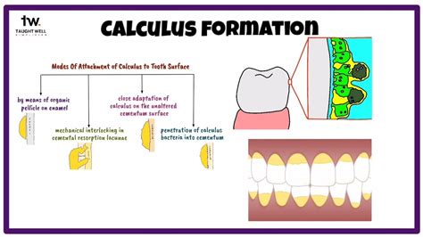 Why does CALCULUS form? | Theories of Calculus formation - YouTube