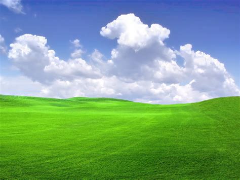 🔥 [64+] Windows Xp Wallpapers Bliss | WallpaperSafari