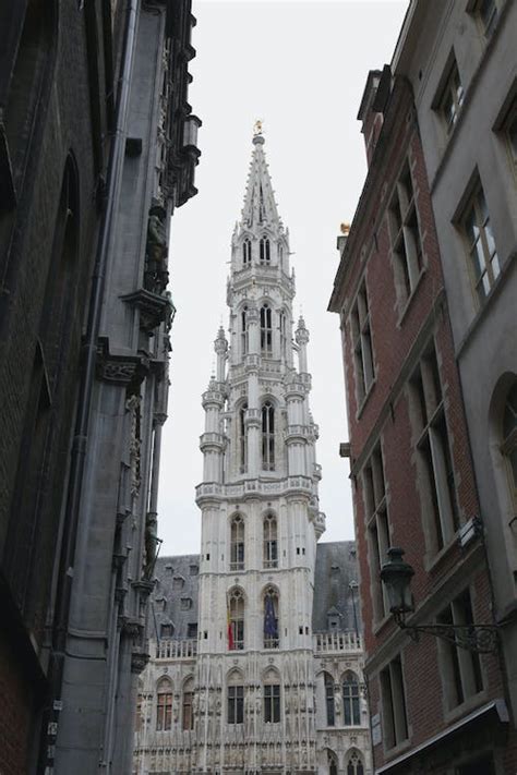 Brussels Town Hall · Free Stock Photo