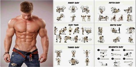 Weight Training Programs to Build Muscle and Gain Weight | Project NEXT