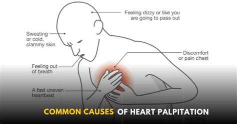 Common Causes of Heart Palpitation