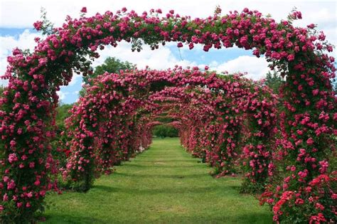 Untuk Kamu Yang Romantis, Berikut 10 Taman Bunga Mawar Terindah di Dunia