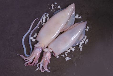 Whole squid