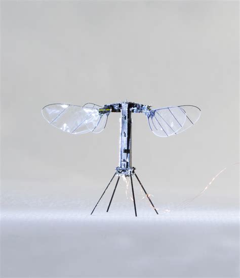 Flying, insect-like robot flits closer to independent flight - Ars Technica