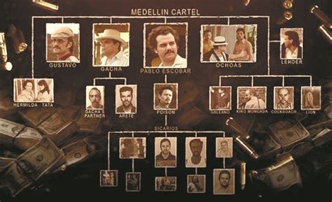 Cartel de Medellín | Wikia Narcos | FANDOM powered by Wikia