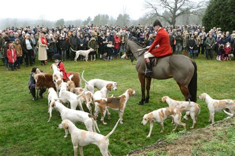 Boxing Day hunt cancelled due to pandemic | Express & Star