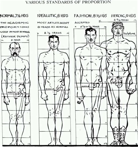 Proportions of the Human Figure : How to Draw the Human Figure in the Correct Proportions - How ...