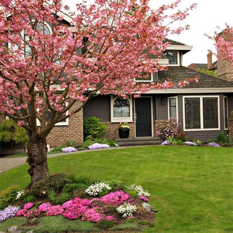 10 Tips for Landscaping Around Trees | Family Handyman | The Family ...