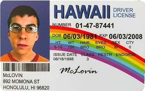 McLovin Fake ID Card Novelty Drivers License: Buy Online at Best Price ...