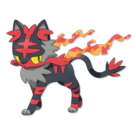 Litten Evolution: Whiskorch by FakeMakeT on DeviantArt