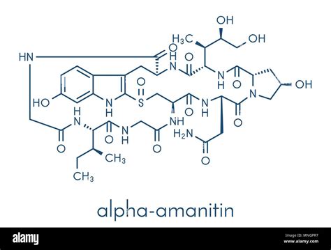 amatoxin