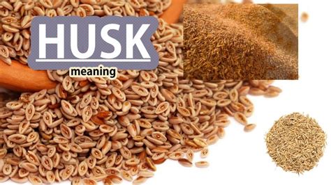 Husk Meaning | Modern Dictionary - YouTube