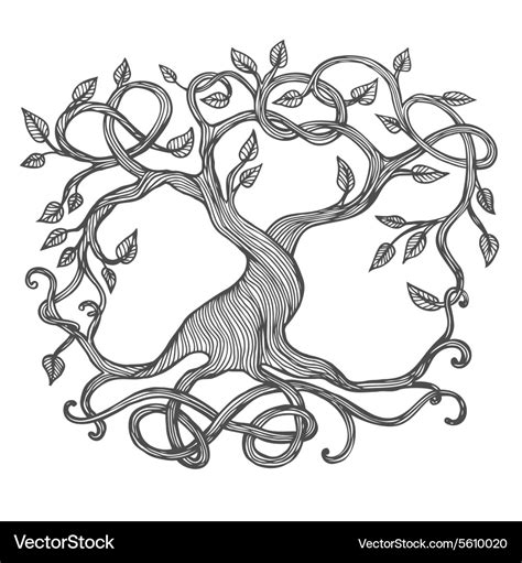 Celtic tree of life Royalty Free Vector Image - VectorStock