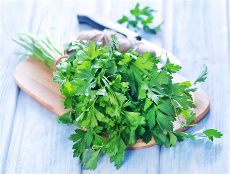 Parsley :: So much more than mere garnish! – Magsons Group