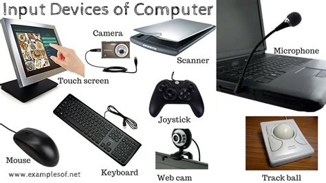 what is an input device give two examples