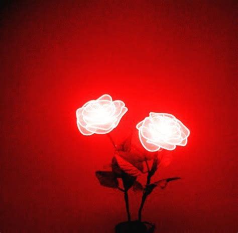 Red Neon Aesthetic Rose References – Mdqahtani