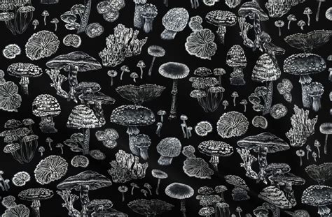 Colorful fabrics digitally printed by Spoonflower - Mushrooms Black White Witchy Pattern in 2021 ...