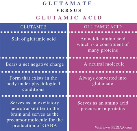 What is the Difference Between Glutamate and Glutamic Acid - Pediaa.Com