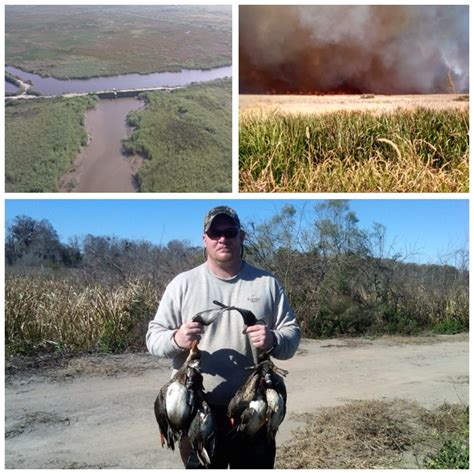 Altamaha Ready for Waterfowl Season – Georgia Wildlife Blog