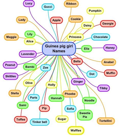 Pin on Guinea pigs