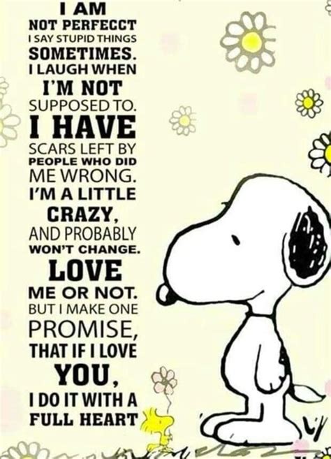 Snoopy Inspirational Quotes and Pics