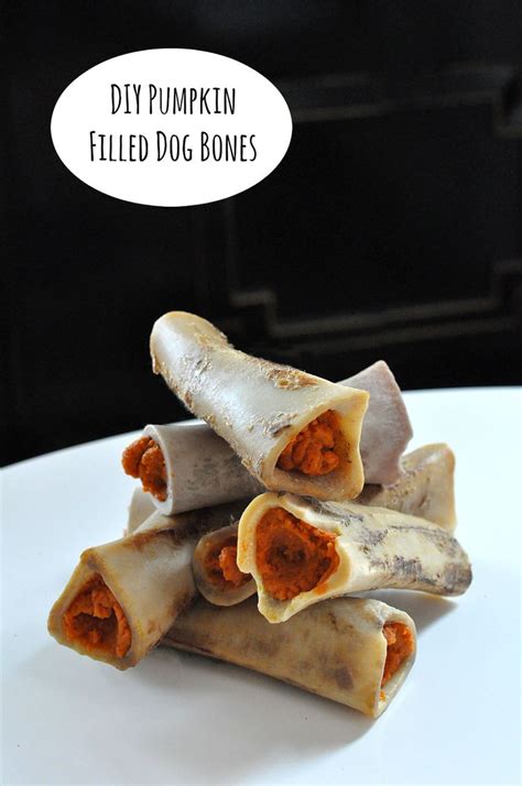 Homemade Pumpkin Filled Dog Bones | Dog bone filling recipe, Dog food recipes, Dog treat recipes