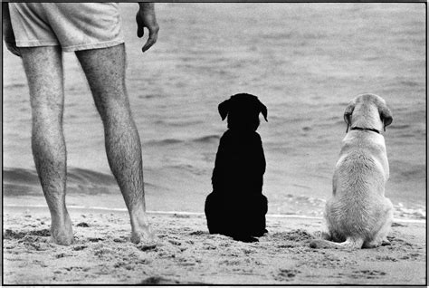 Elliott Erwitt Photography - Holden Luntz Gallery