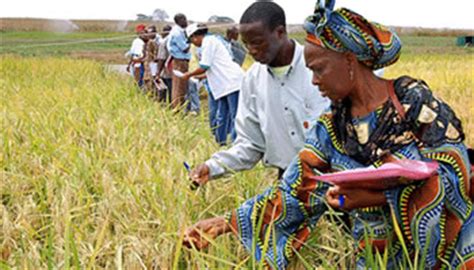 Sierra Leone and World Bank Sign Agreement for New Project to Link Farmers to Agribusiness ...