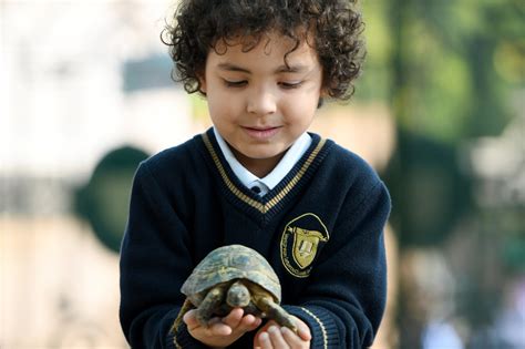 GEMS Wesgreen International School breaks new ground with Sharjah’s first forest school and farm