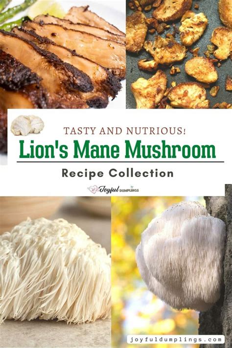 16 Lion's Mane Mushroom Recipes (Super Flavorful!) » Joyful Dumplings ...