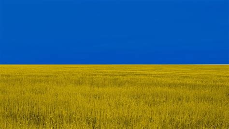 Premium Photo | Colors of ukrainian flag in yellow wheat field with blue sky symbol of the ...