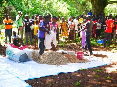 Africa Famine Relief and Crisis Fund - Australia Mobilising