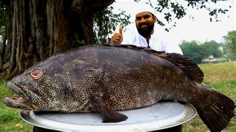 25 Kg King Hamour Fish Biryani Recipe || Amazing Hamour Fish Biryani || Nawabs Kitchen - YouTube