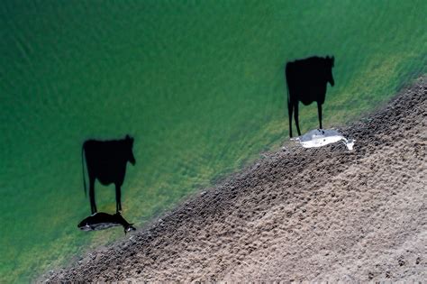 These award-winning drone photographs offer an amazing bird’s eye view of the world | Express & Star